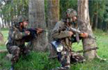 Three militants shot dead in Kupwara